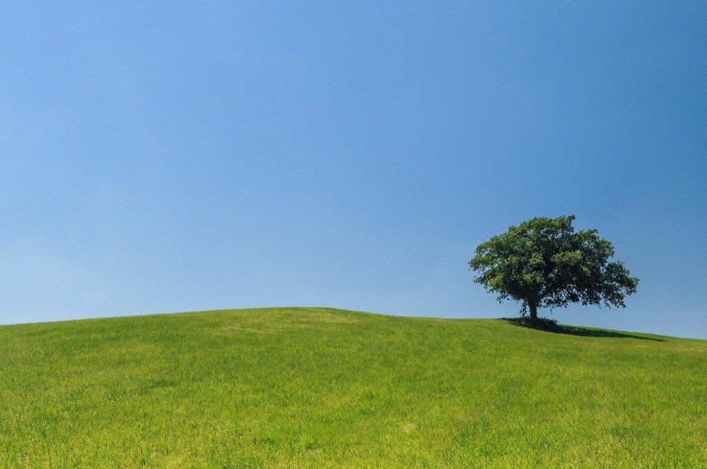 Rachel Hatton, sophrologue, sophrologie, Le Mans