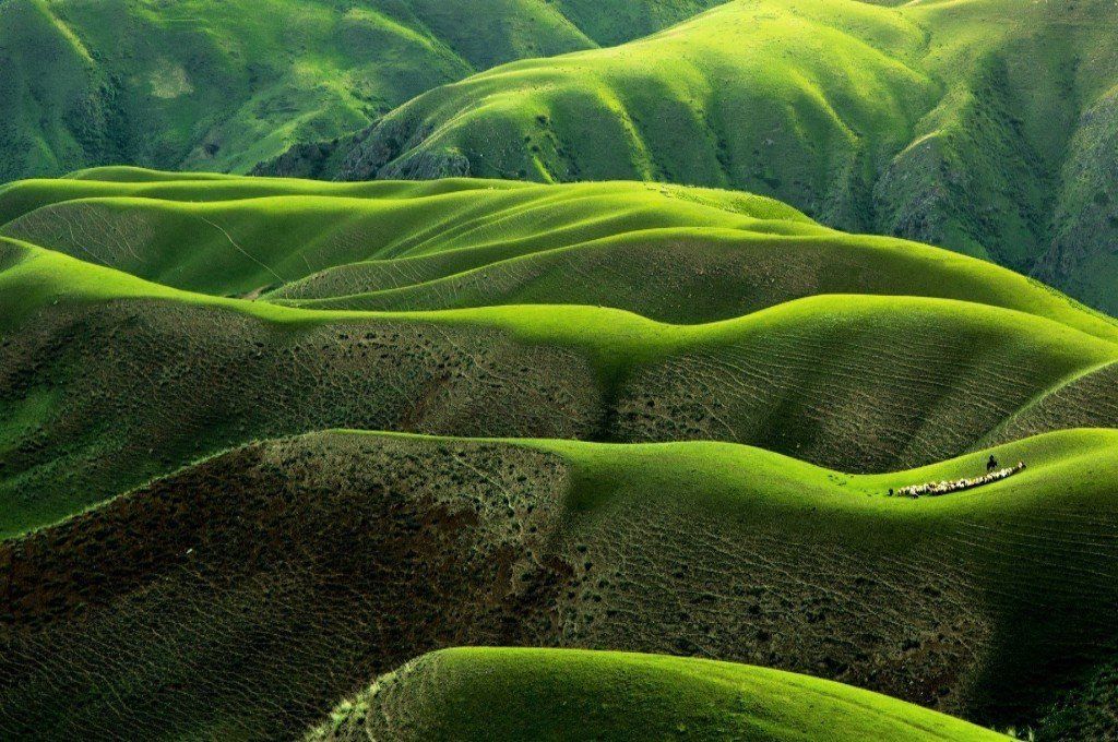 Rachel Hatton, sophrologue, sophrologie, Le Mans