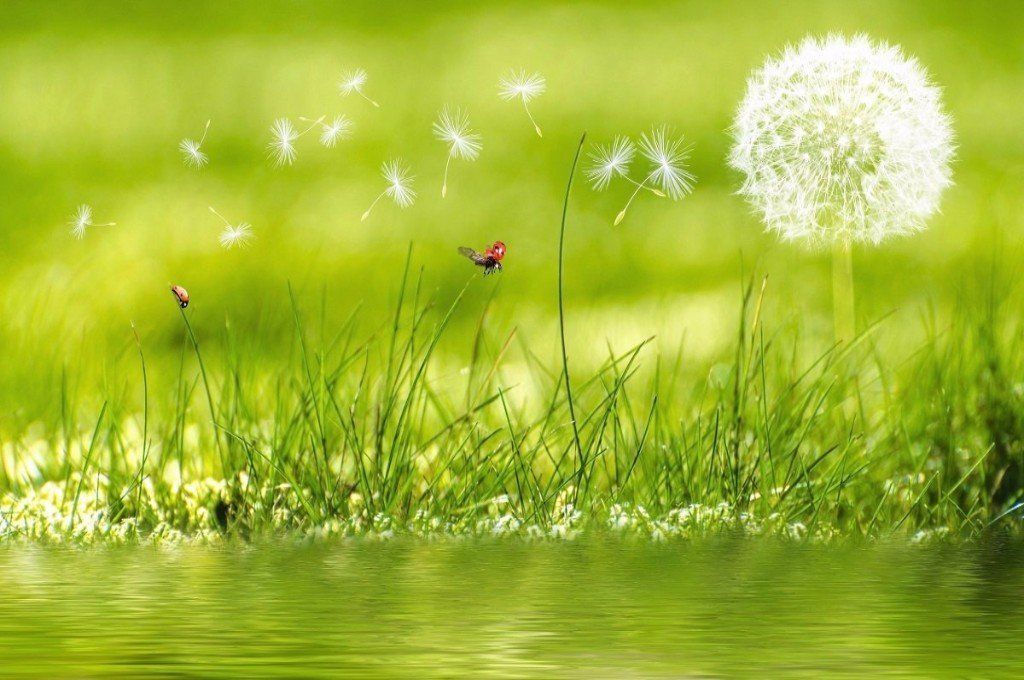 Rachel Hatton, sophrologue, sophrologie, Le Mans