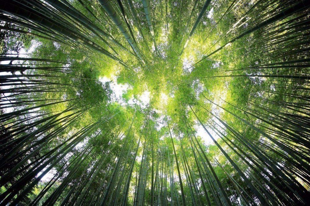 Rachel Hatton, sophrologue, sophrologie, Le Mans