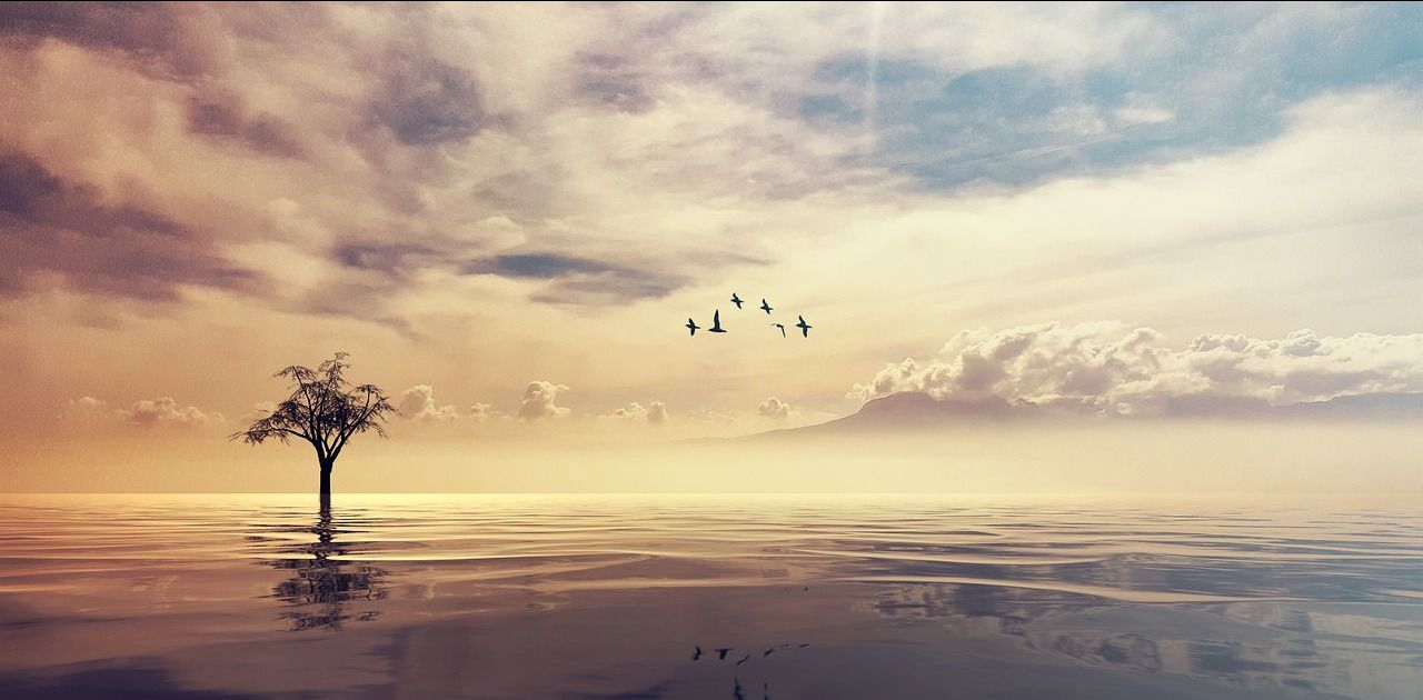 Rachel Hatton, coach, coaching, sophrologue, sophrologie, Le Mans