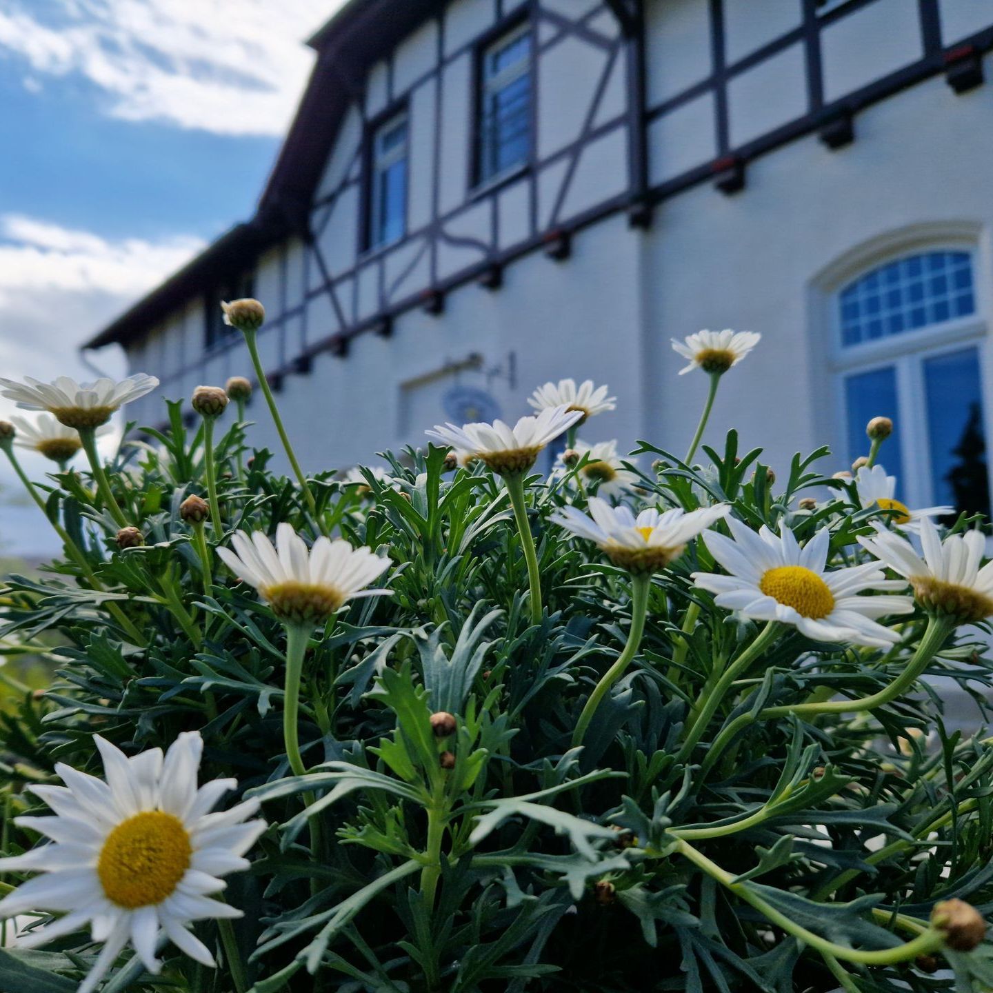 Außenansicht Anfrageformular