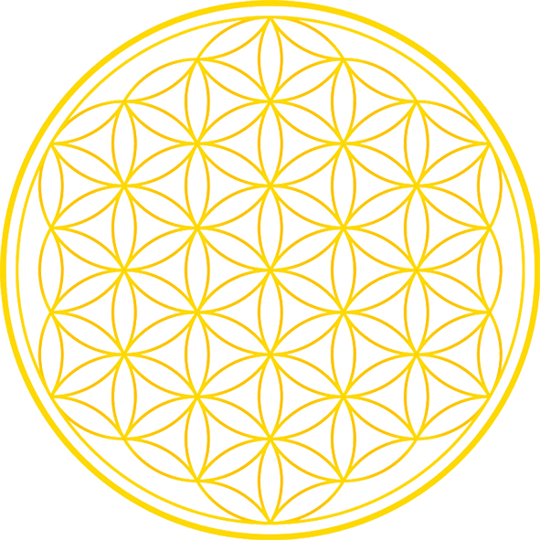 Hatha Yoga how it is practiced in the Western world is a system of body-, breath-, and concentration exercises.