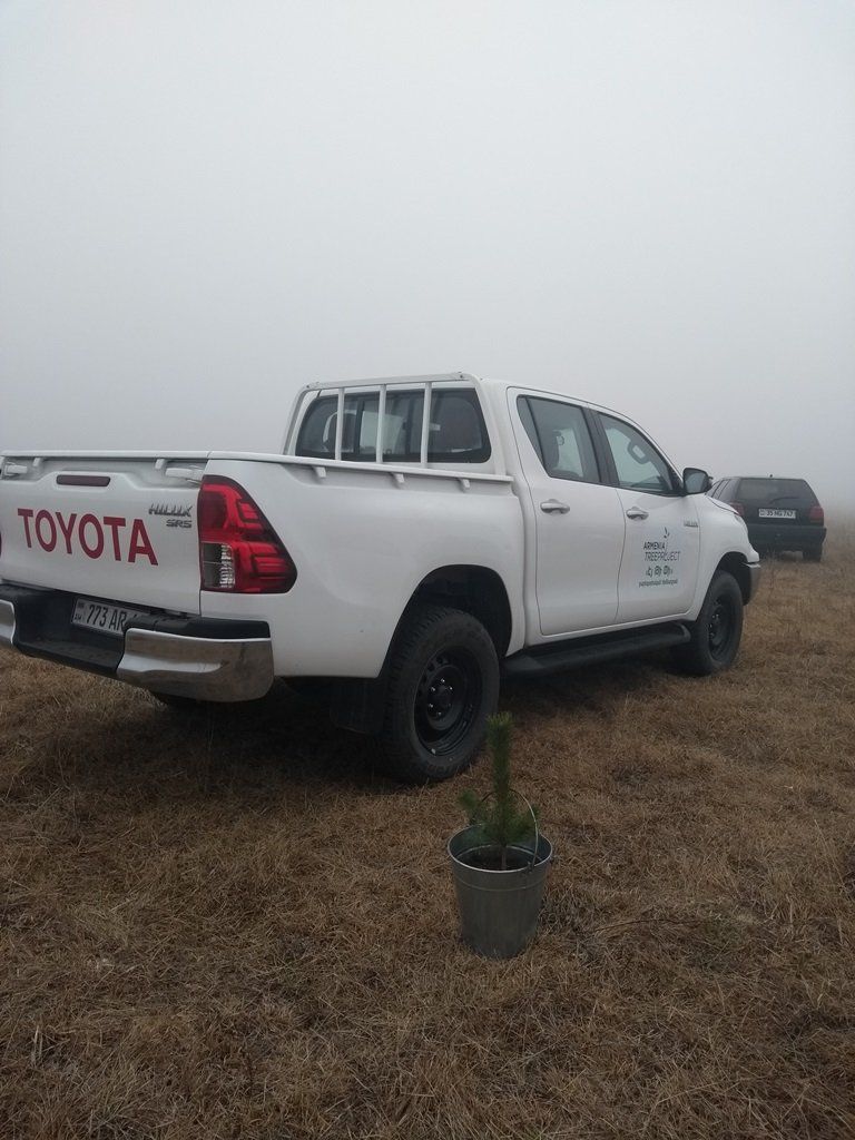 Baumschule von ATP in Chiva
