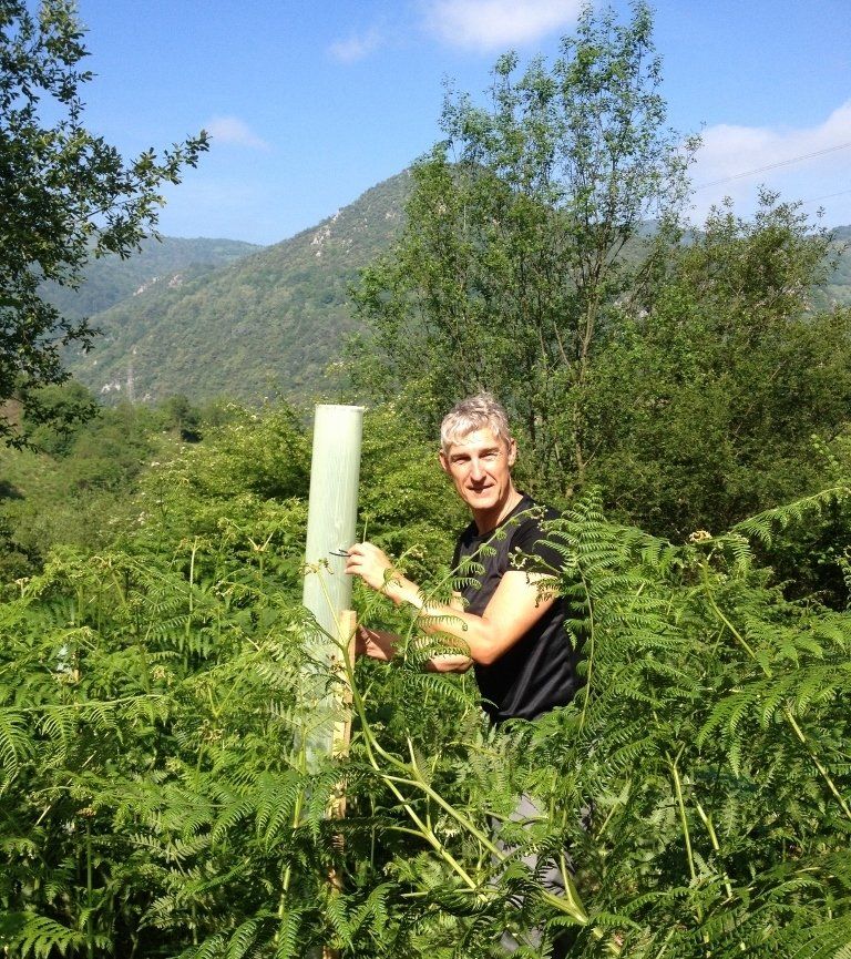 Stefan Haas