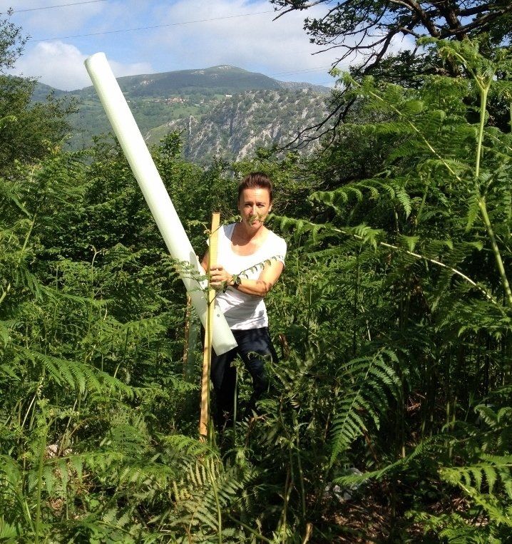 Susanne Haas