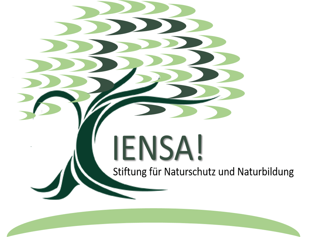 PIENSA! Stiftung für Naturschutz und Naturbildung