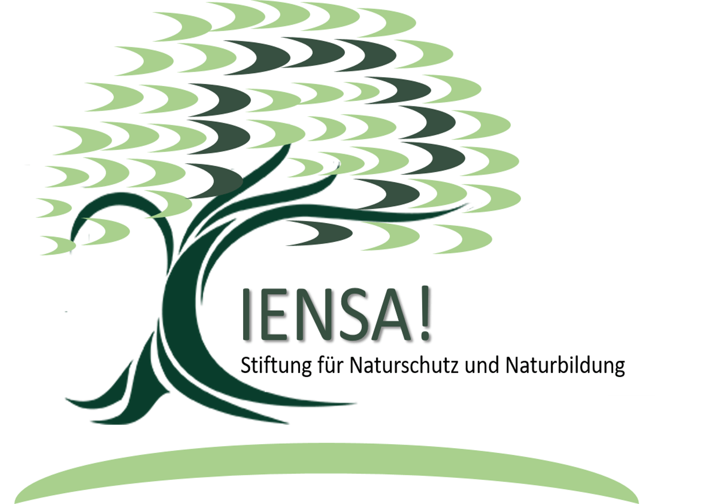 Logo der PIENSA!-Stiftung PIENSA! Stiftung für Naturschutz und Naturbildung