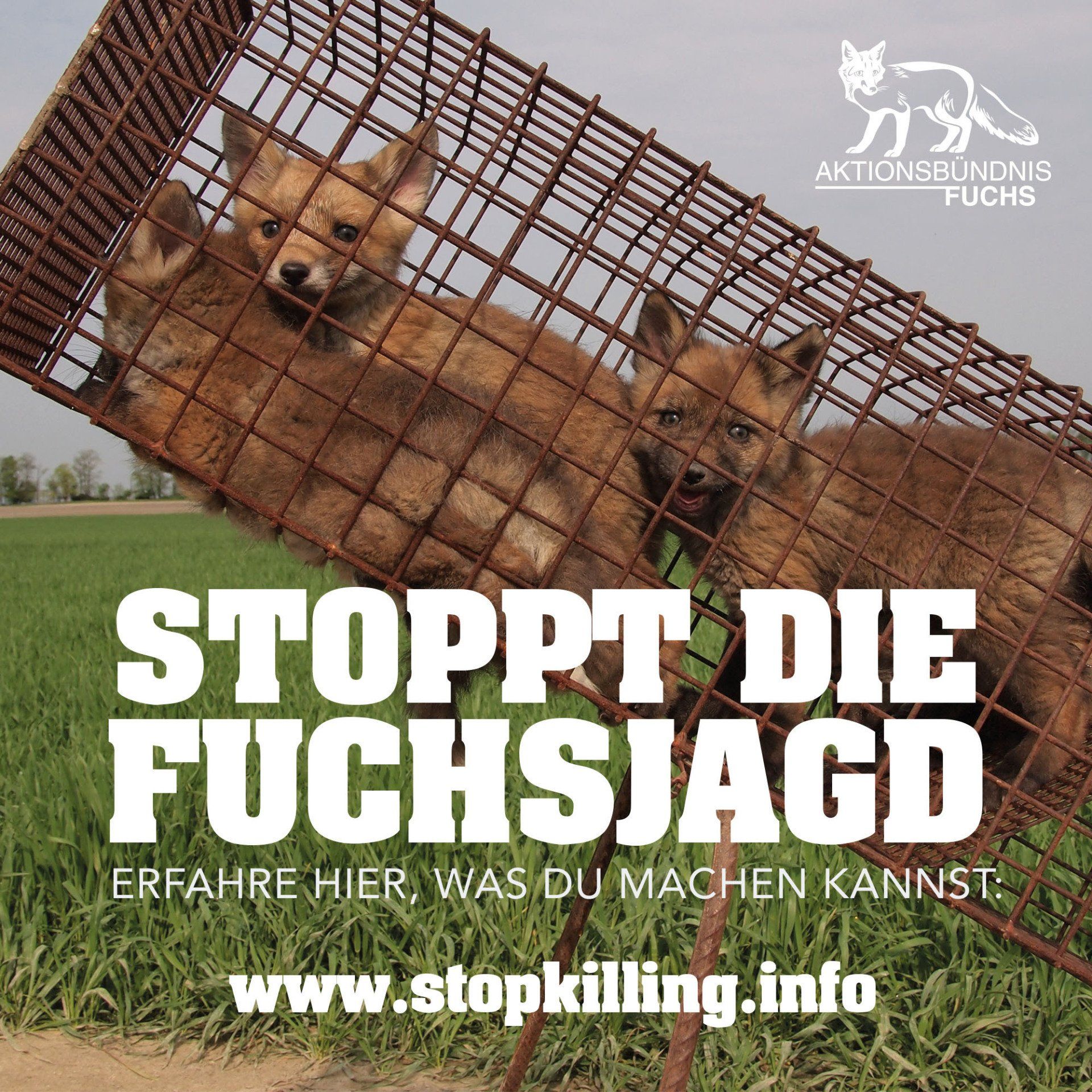 Bildungspatenschaft Pablo