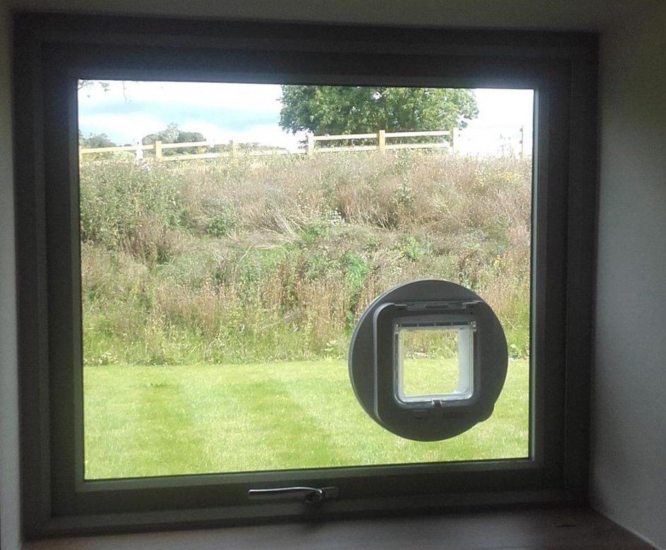 Glass Window Cat Flap