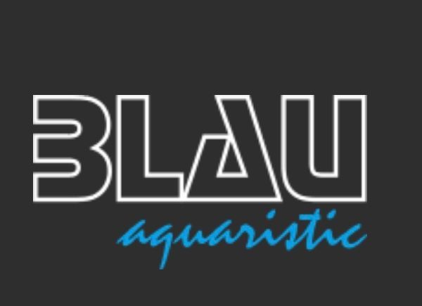 peces de acuario aquasalvaje tienda peces alcorcon madrid peces sanos y de calidad