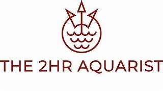 peces de acuario aquasalvaje tienda peces alcorcon madrid peces sanos y de calidad