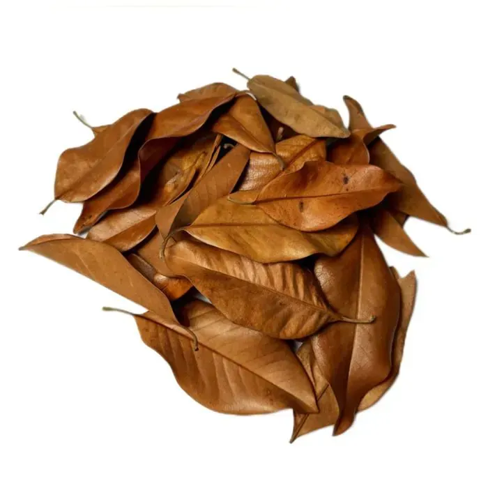 TIENDA ACUARIOS PECES ALCORCON ONLINE PLANTAS