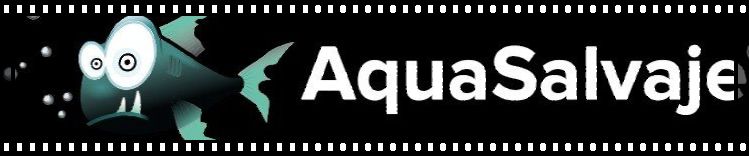 peces de acuario aquasalvaje tienda peces alcorcon madrid peces sanos y de calidad