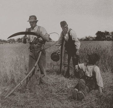 Peter Henry Emerson: In The Barley Harvest, etwa 1886