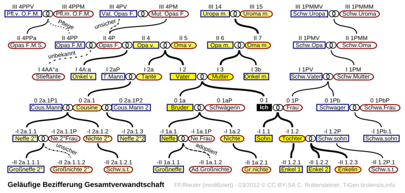 Übersicht von Vor- und Nachfahren eines Probanden mit allen Geschwistern.