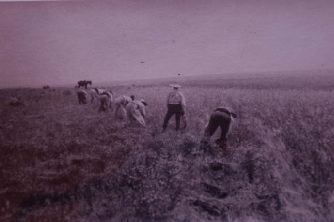Campos de Brunete #brunetehistoriayvida