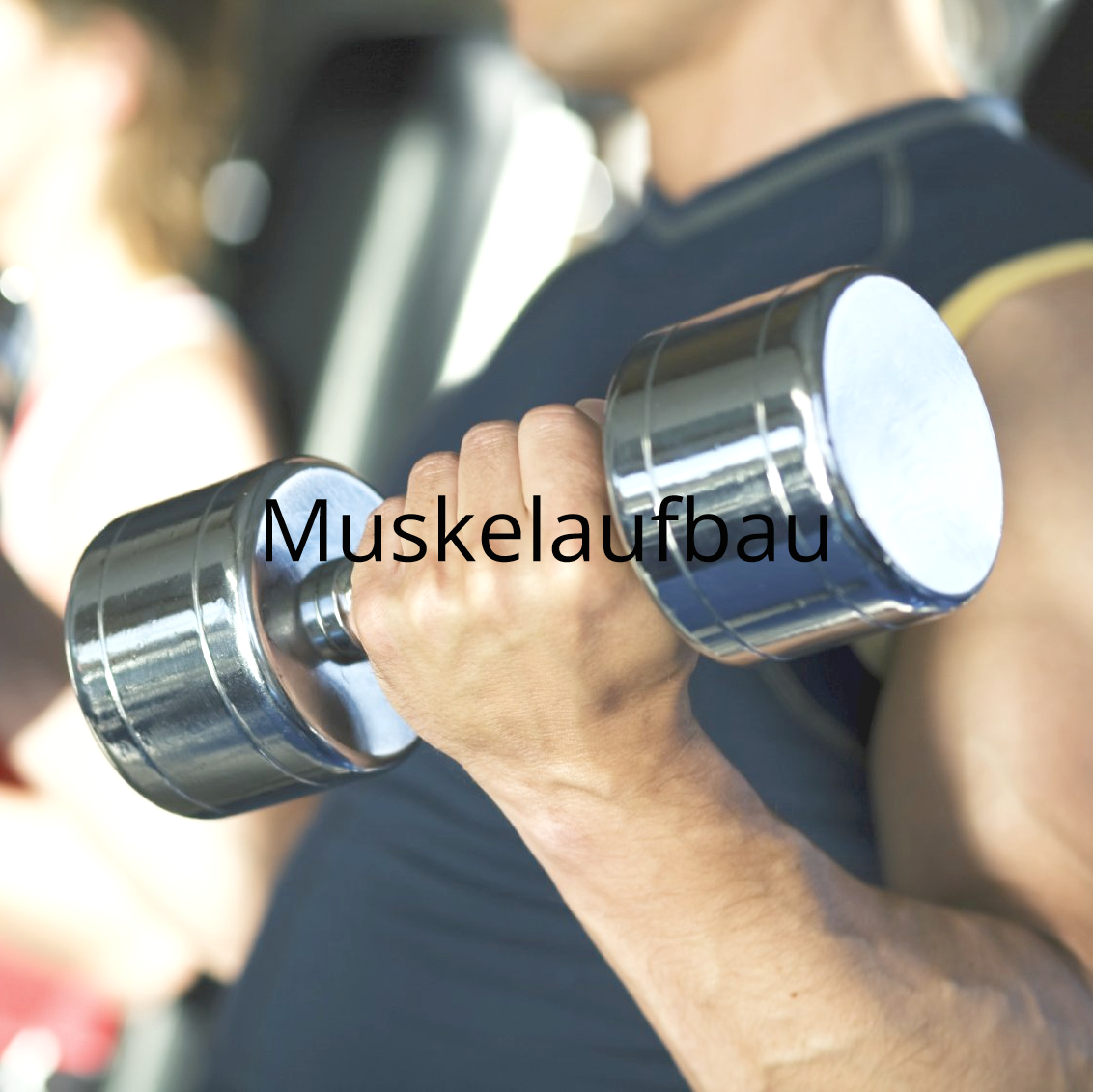 Muskelaufbau