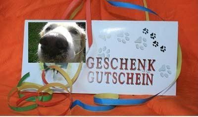 Geschenk-Gutschein Hundeservice 4 Pfoten
