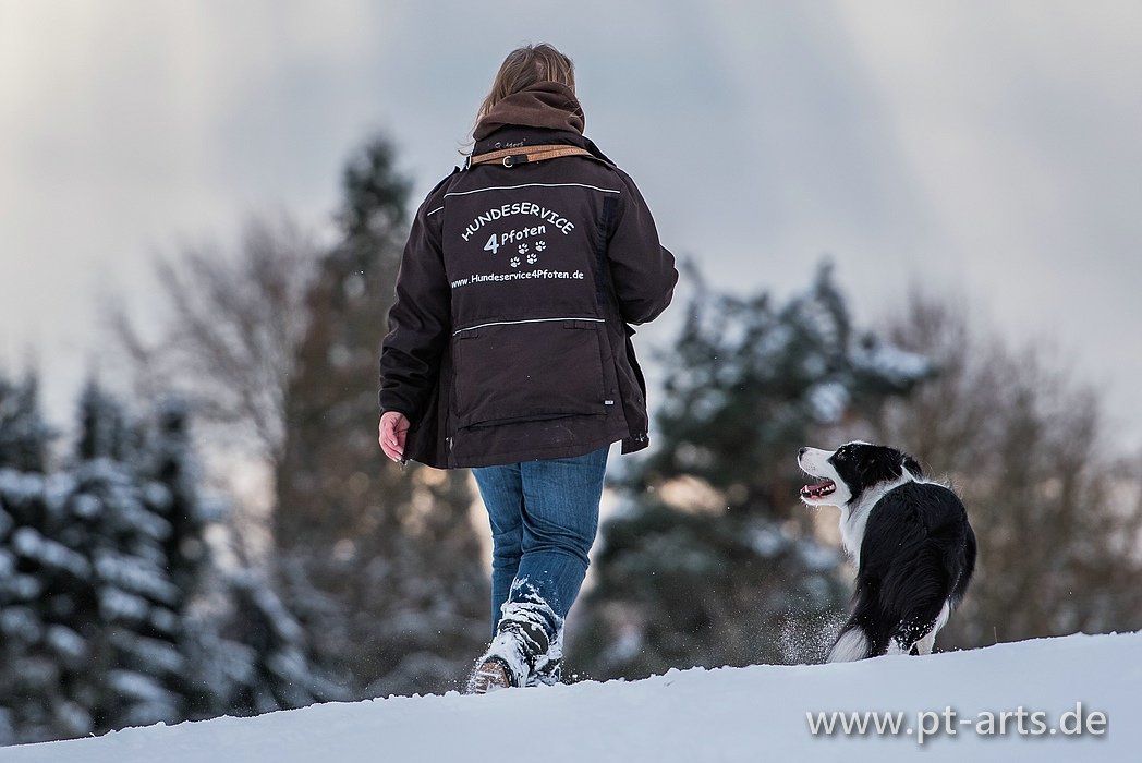 Hundeschule Althütte - Hundeservice 4 Pfoten Hundeschule Althütte - Hundeservice 4 Pfoten