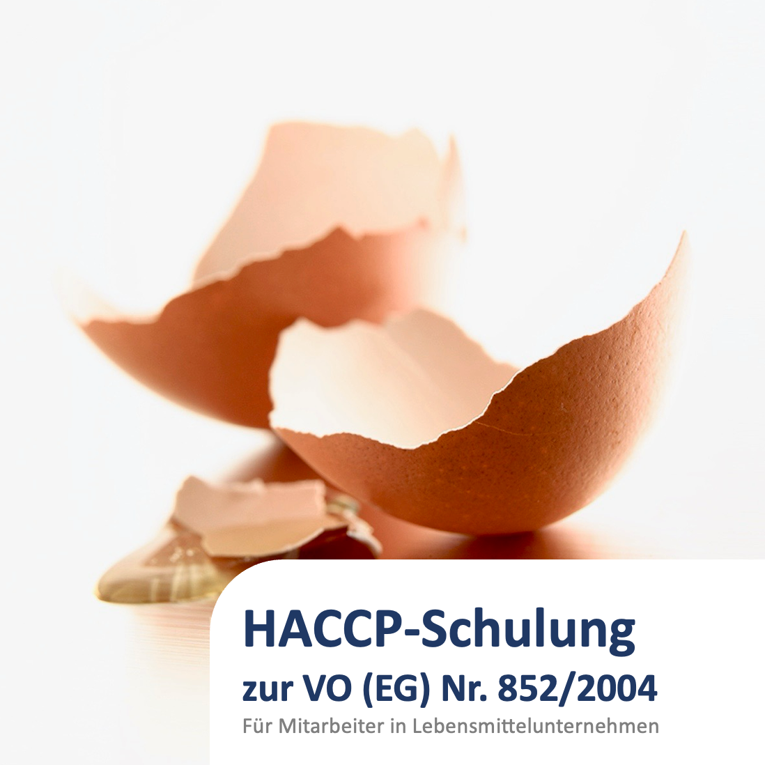 Jährliche HACCP-Schulung zur VO (EG) Nr. 852/2004 inklusive Schulungsnachweis