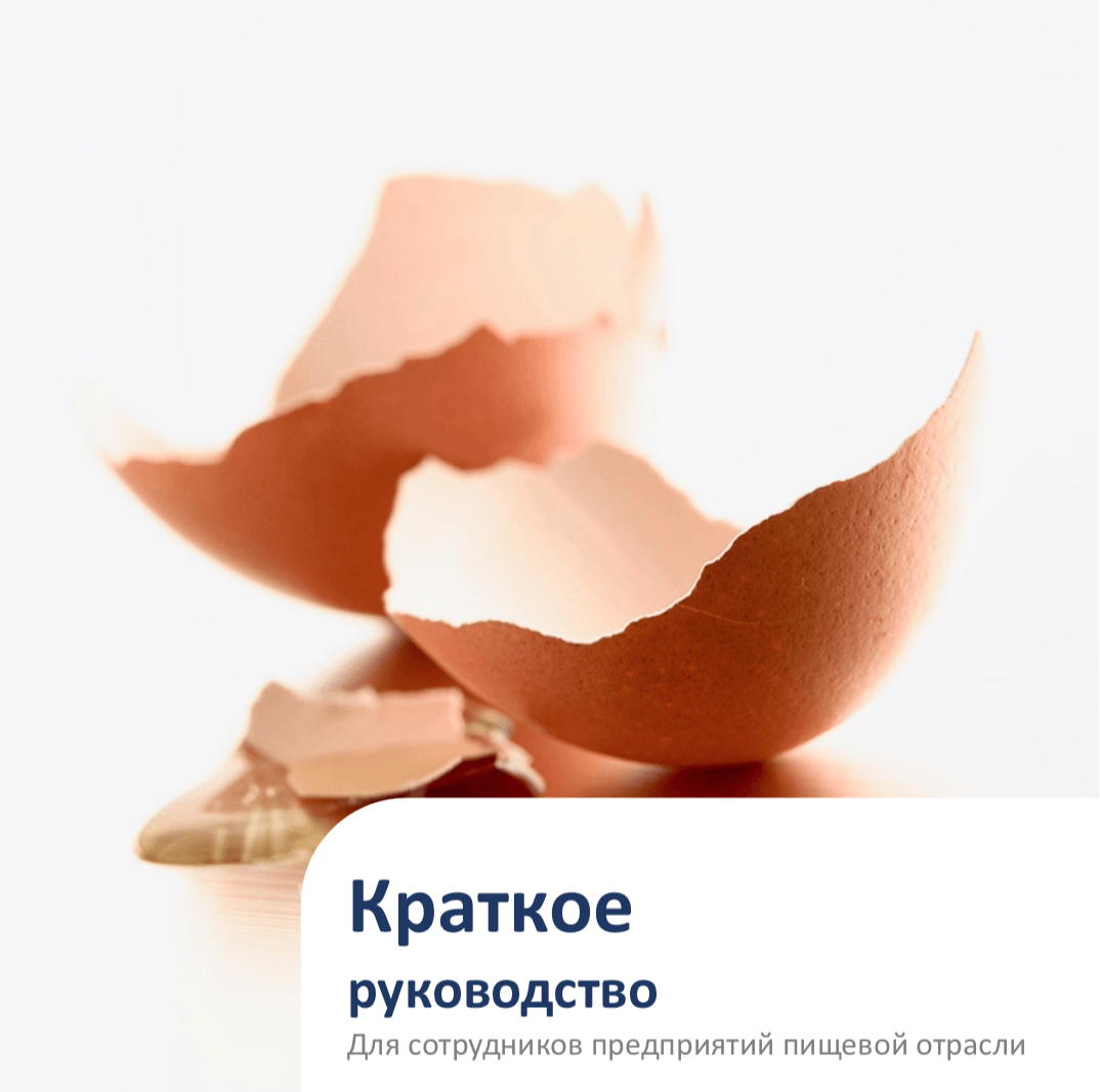 Краткое руководство