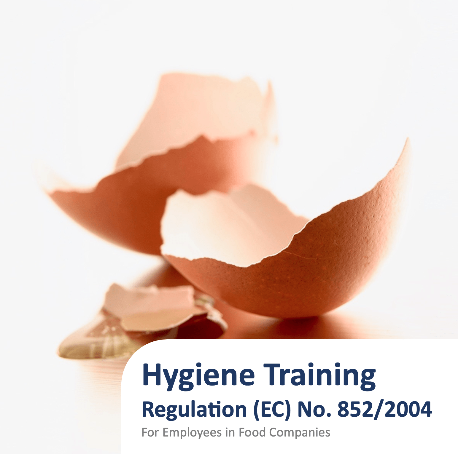Annual hygiene training Regulation (EC) No.852/2004 including Certificate