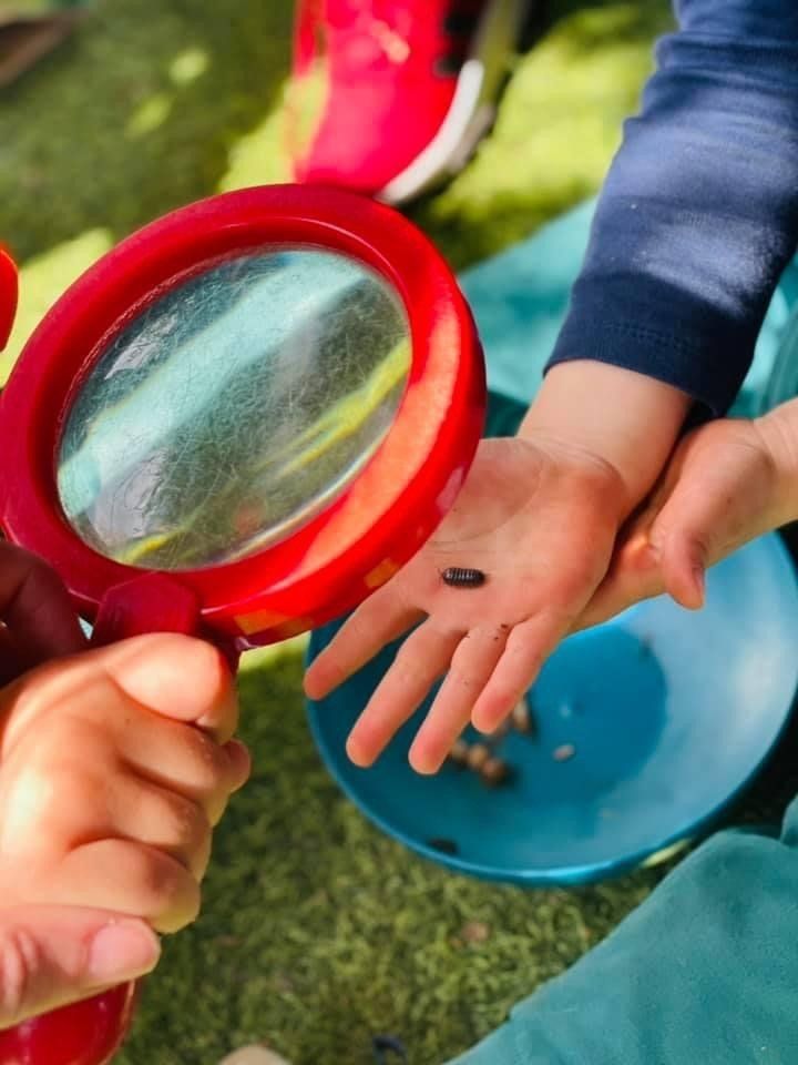 Kinderland Croydon Nursery Child care