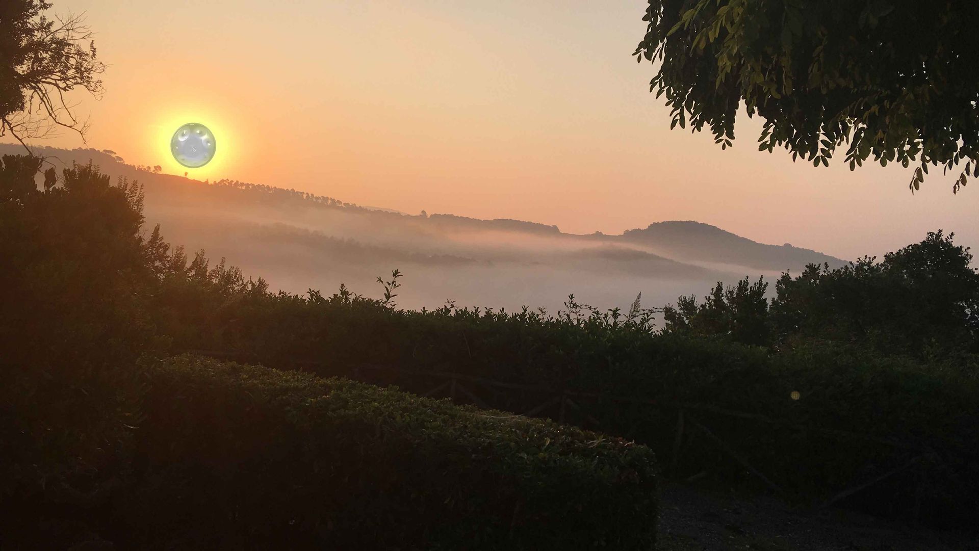 Handpan- Seminare in der Toskana im August 26