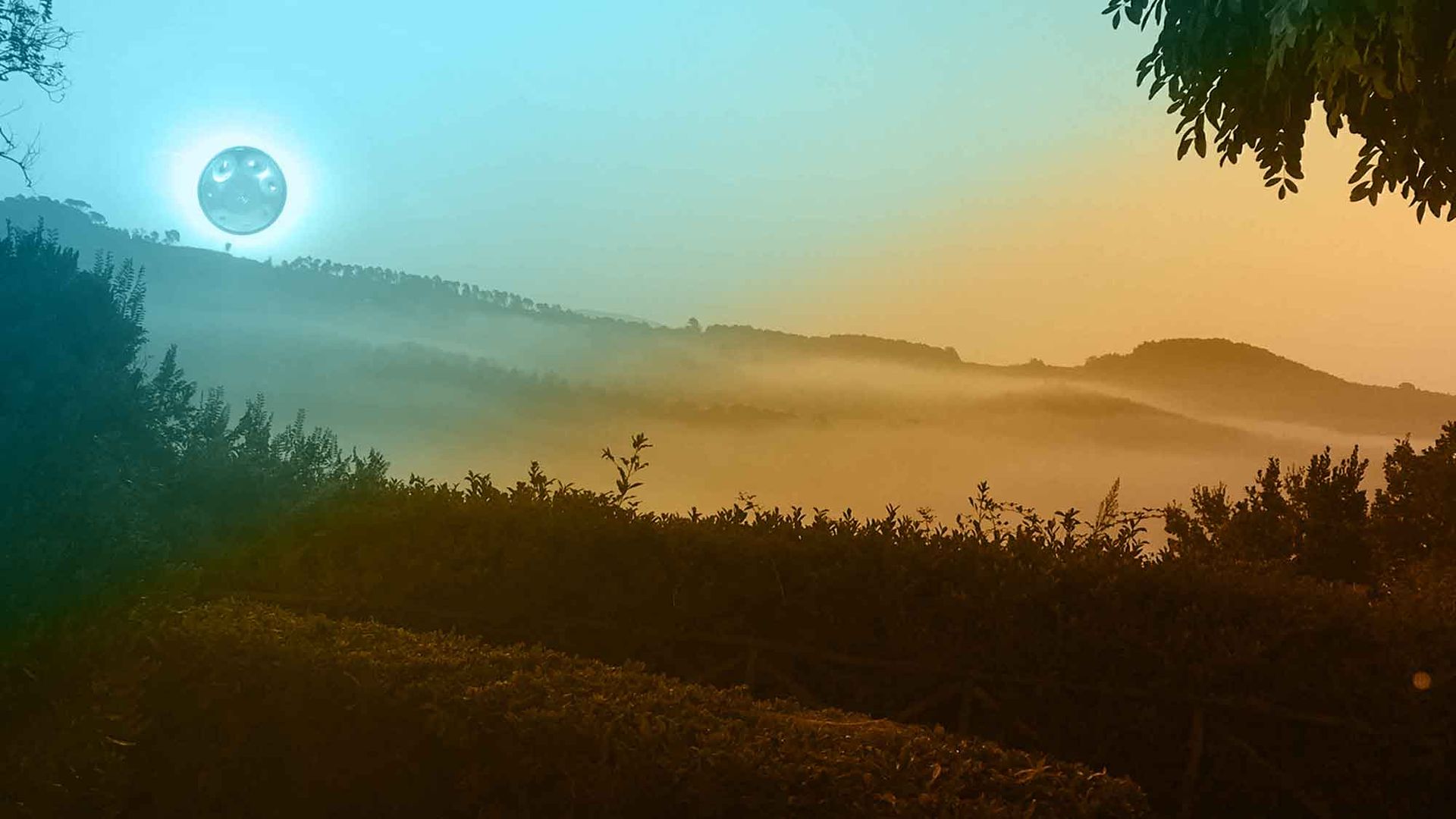 Handpan Cajon Toskana