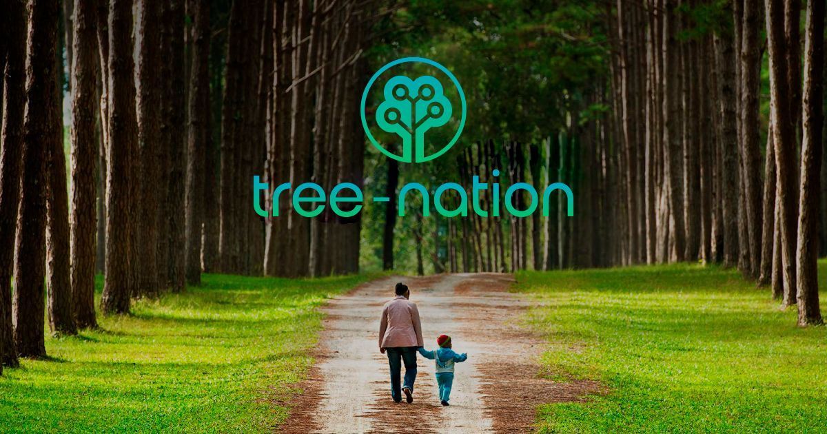 Plantación de árboles para combatir el cambio climático con Mototransport