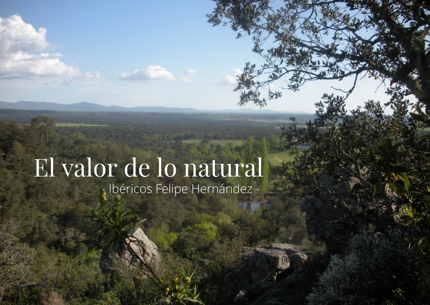 El valor de lo natural