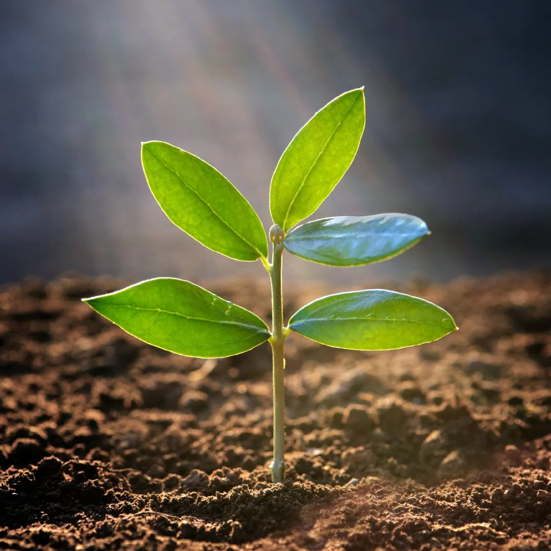 Schutz unserer Umwelt