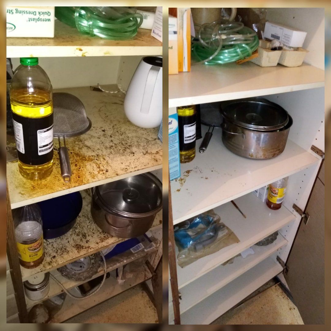 Reinigung von einem Schrank in einem Messie-Objekt Mannheim inkl. der Entrümpelung