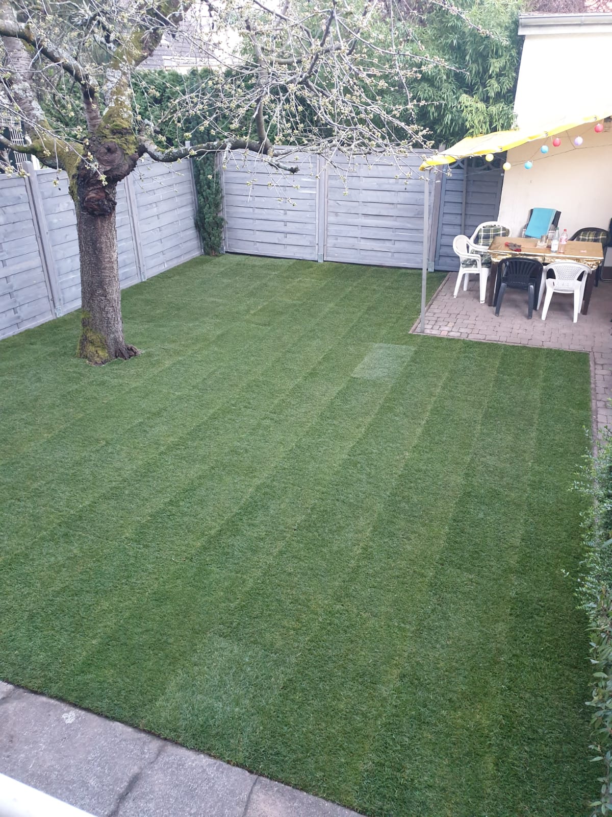 Zum Hausmeisterservice zählt auch das regelmäßige Rasenmähen