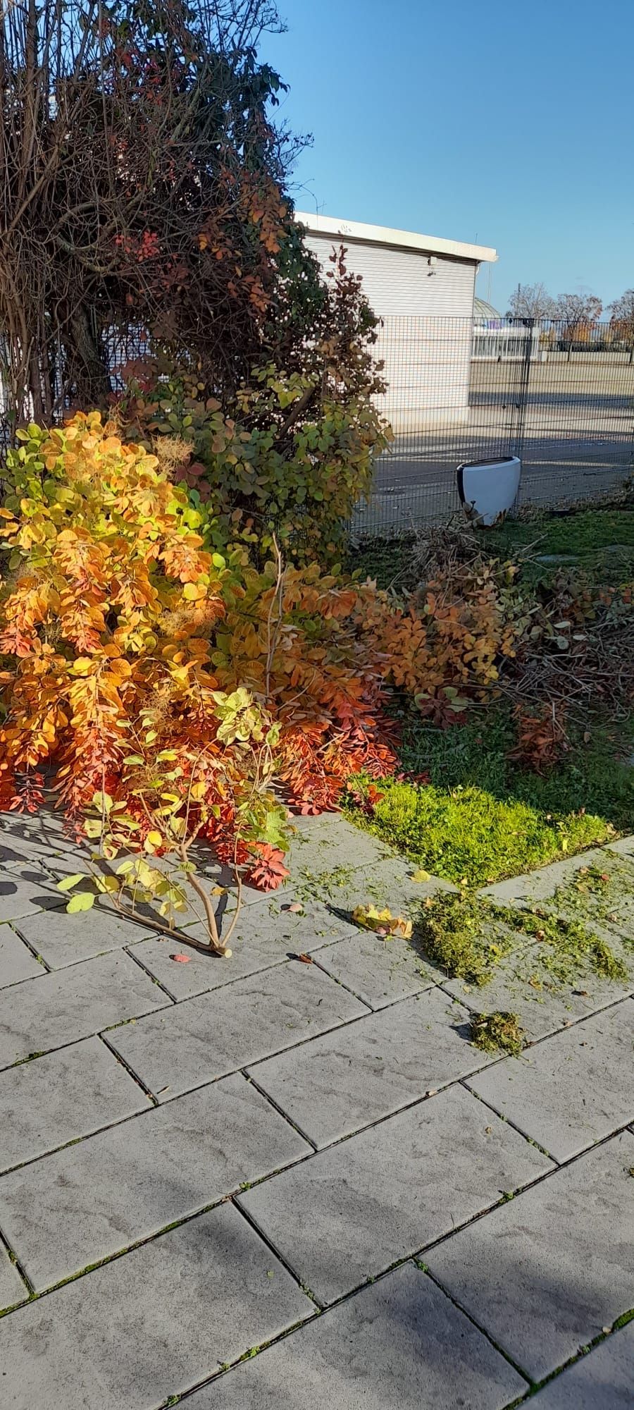 Gartenarbeiten bzw. Rückschnitt gehören auch bei uns zum Hausmeisterservice dazu.