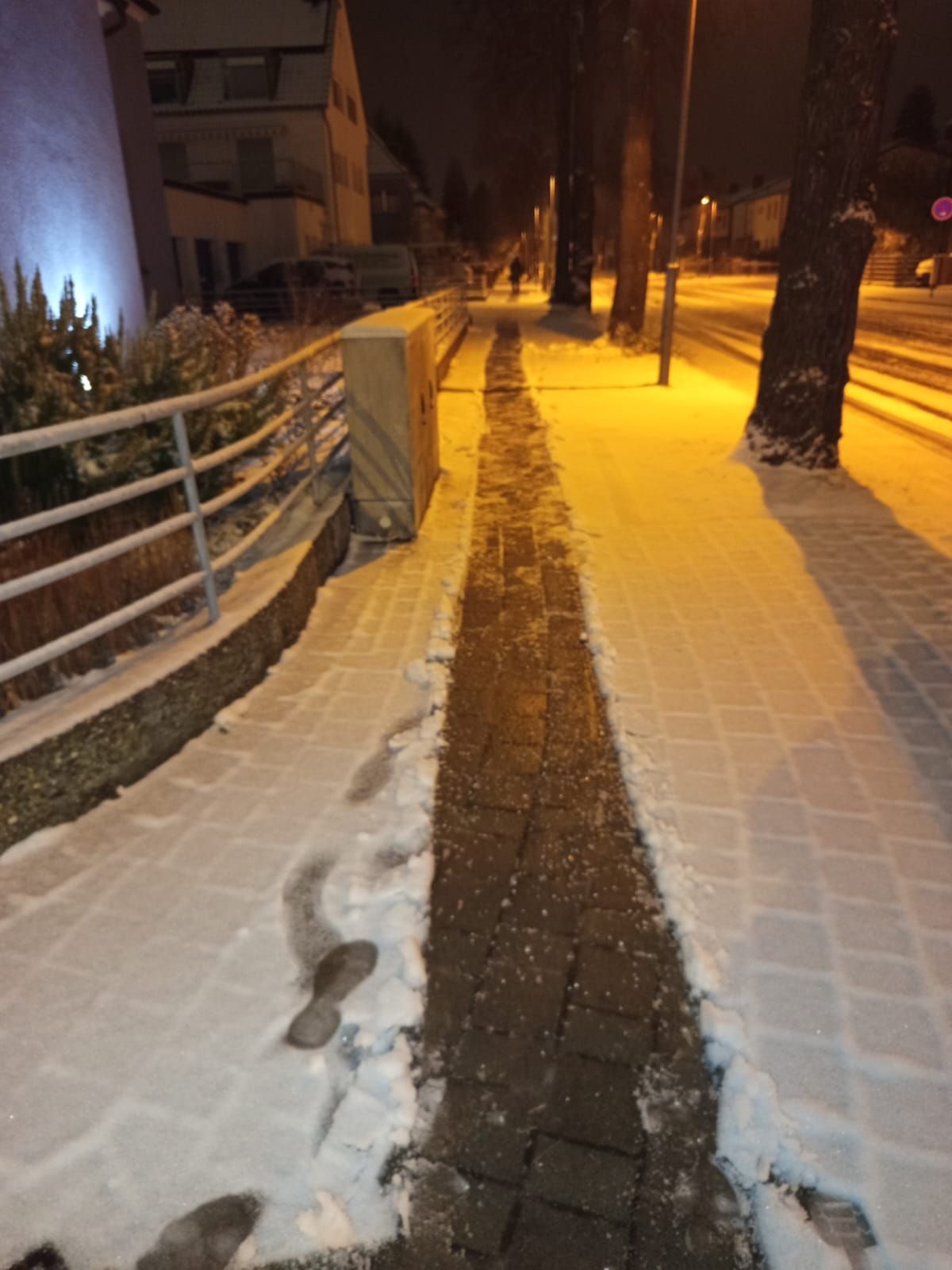 Schneeräumen Winterdienst Mannheim