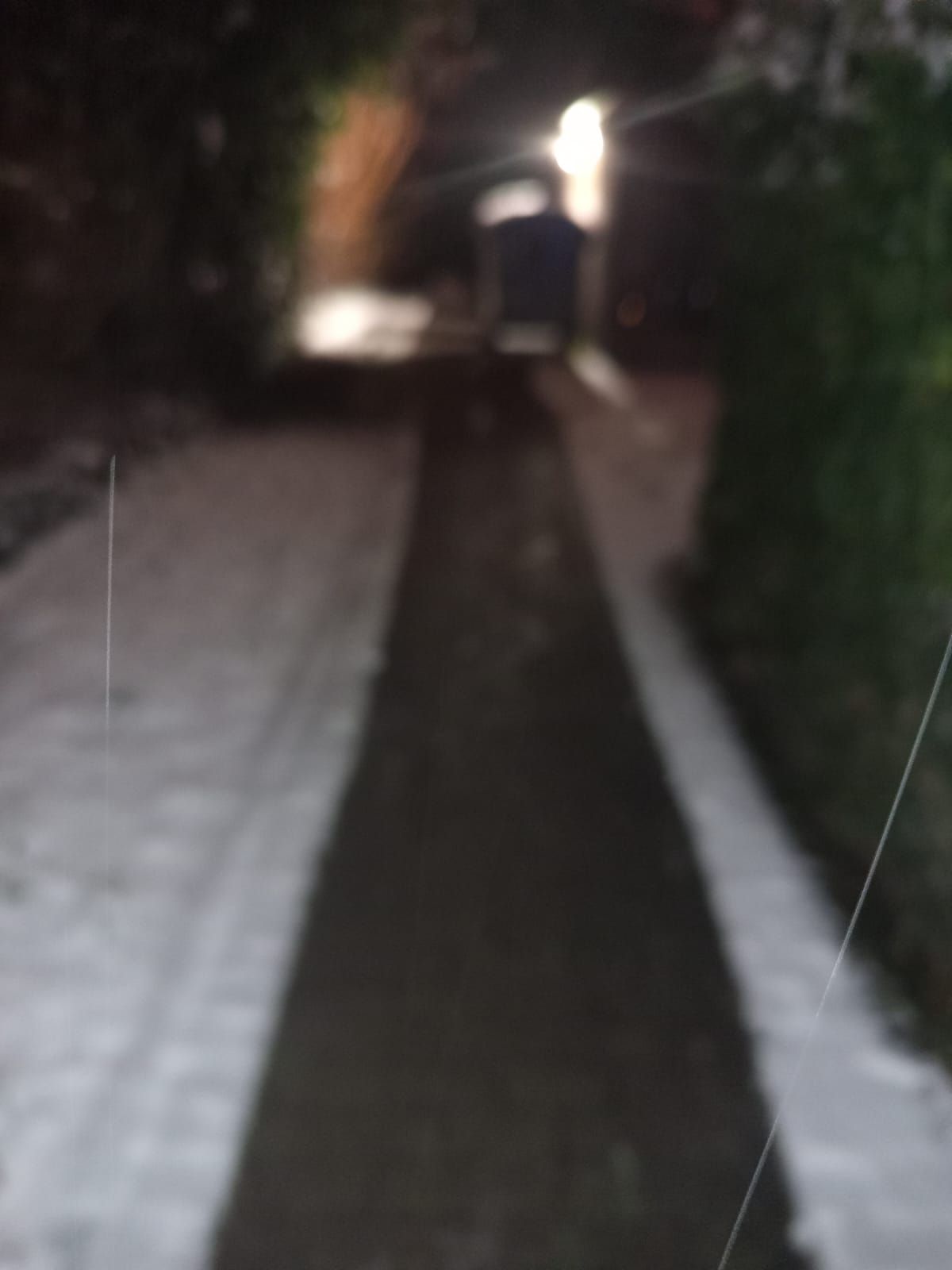 Schneeräumen Winterdienst Mannheim