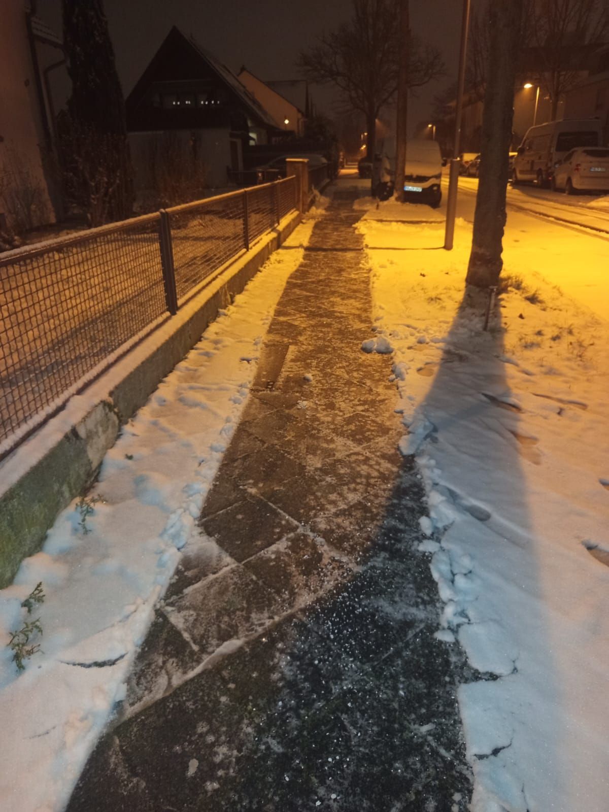 Schneeräumen Winterdienst Mannheim