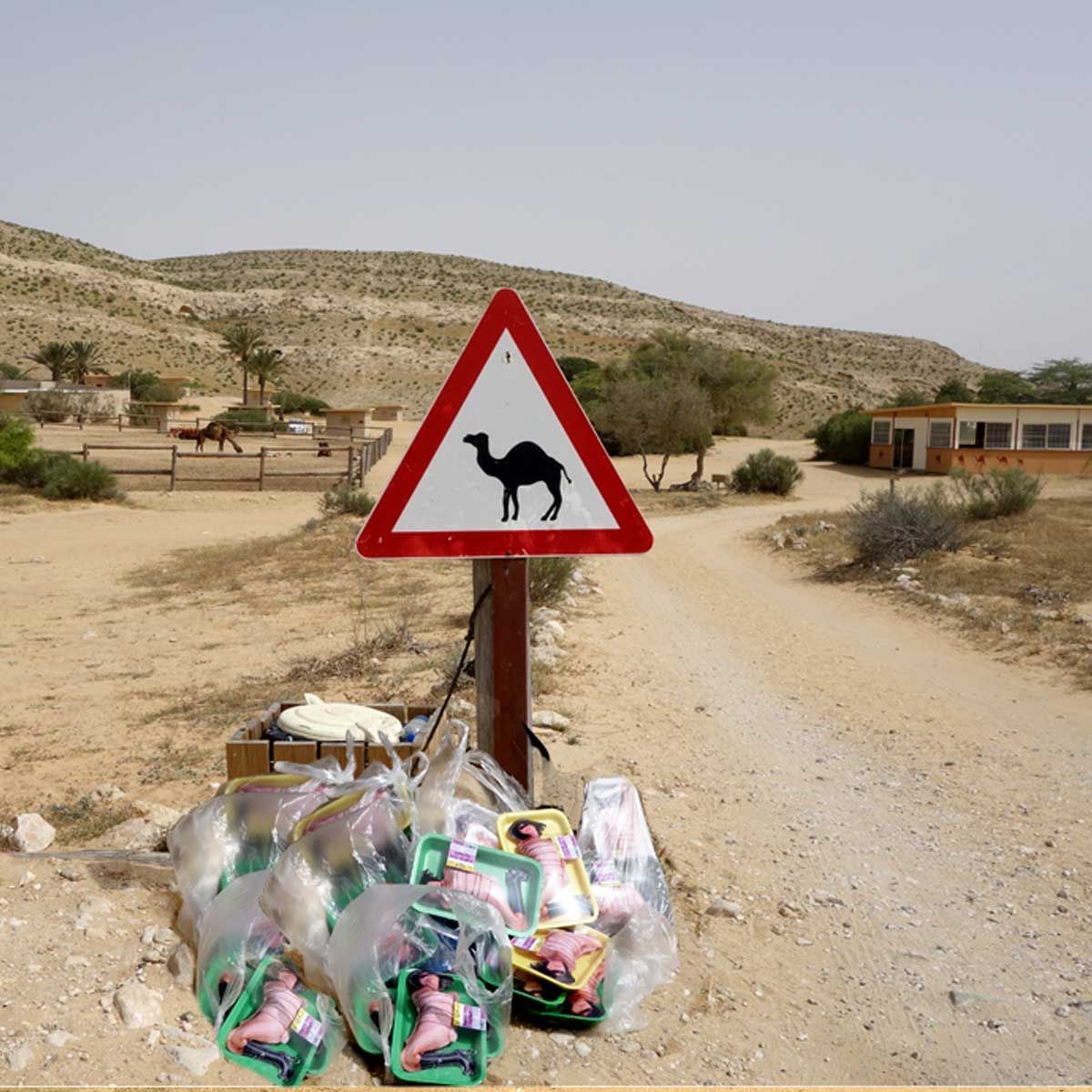 Nuit blanche, les nautes, Paris, 2024, installation, performance Série photographique d'Installation in situ, éphémères, réalisées dans la nature
Israël, Galilée