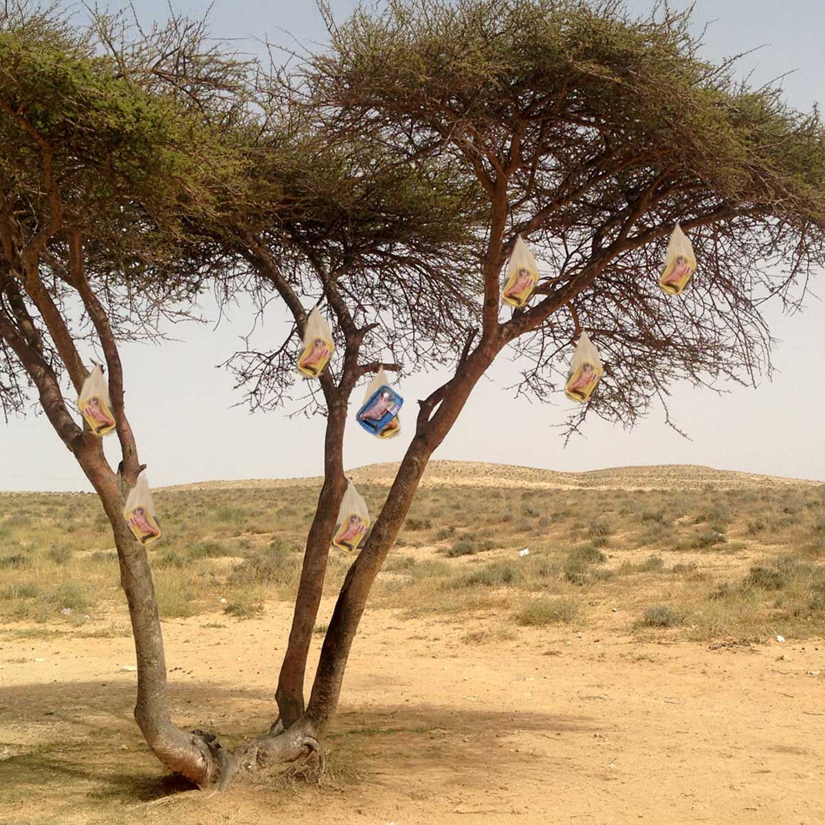 eve love sport self portrait auto portrait peinture artiste femme sculpture installation performance art contemporain artiste internationale slam musique larnaca solo show eve barquette exposition personnelle woman artist galerie Lara Vincy Paris France ballon de football americain american football eve paradise jakmousse pouce ok emoji emoticone perle plastique objet installation art Série photographique d'Installation in situ, éphémères, réalisées dans la nature
Israël, Galilée