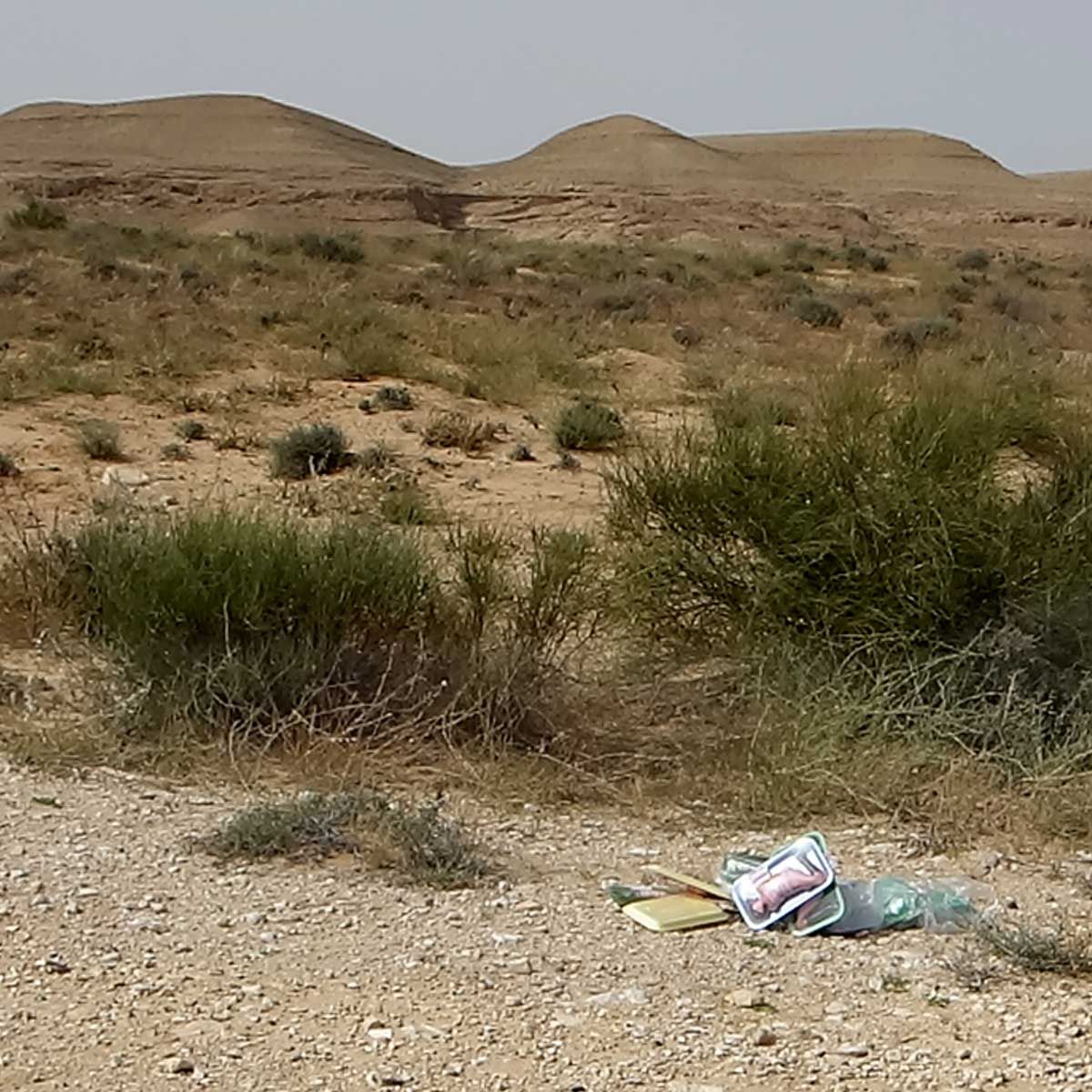 instllation, plantes artificielles, gonflables art performance art contemporain contemporary art wonder woman photographie food Série photographique d'Installation in situ, éphémères, réalisées dans la nature
Israël, Galilée