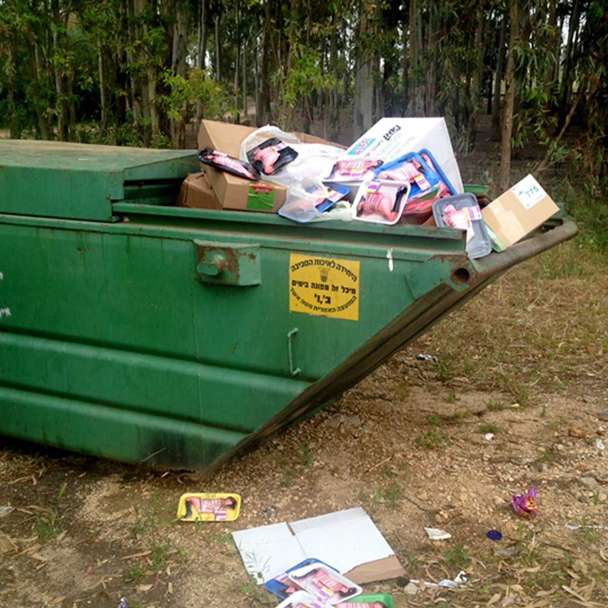 eve love sport self portrait auto portrait peinture artiste femme sculpture installation performance art contemporain artiste internationale slam musique larnaca solo show eve barquette exposition personnelle woman artist galerie Lara Vincy Paris France ballon de football americain american football eve paradise jakmousse pouce ok emoji emoticone perle plastique objet installation art larnaca biennale cyprus Série photographique d'Installation in situ, éphémères, réalisées dans la nature
Israël, Galilée