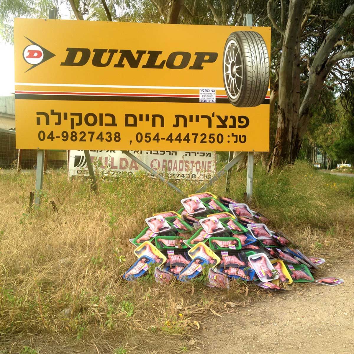 nature, installations, éphémères Série photographique d'Installation in situ, éphémères, réalisées dans la nature
Israël, Galilée