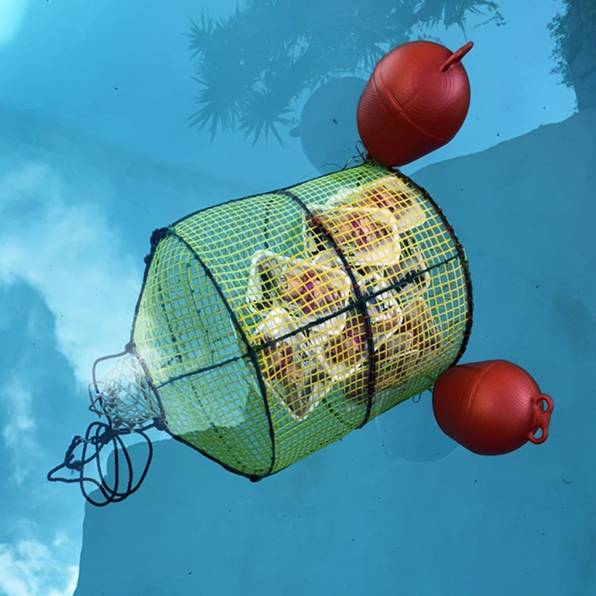 art performance art contemporain contemporary art wonder woman photographie food instllation, plantes artificielles, gonflables, perles passementeries, led