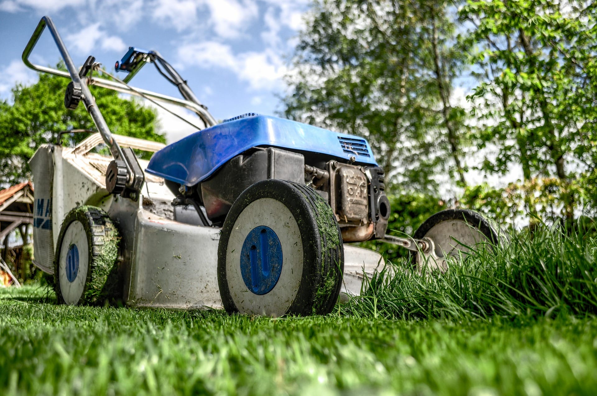 gartenbau, gärtner, grüner daumen, acker, bagger, gartenumbau,