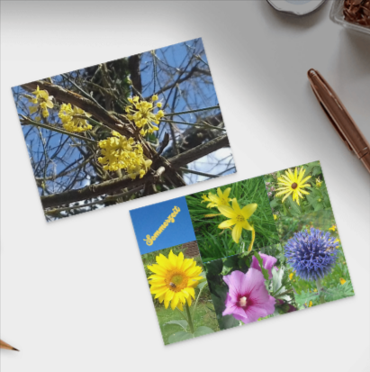 Postkarten-Mix Natur, Aufnahmen von Landschaften, Blüten und Himmel Postkarten-Mix Natur, Aufnahmen von Landschaften, Blüten und Himmel