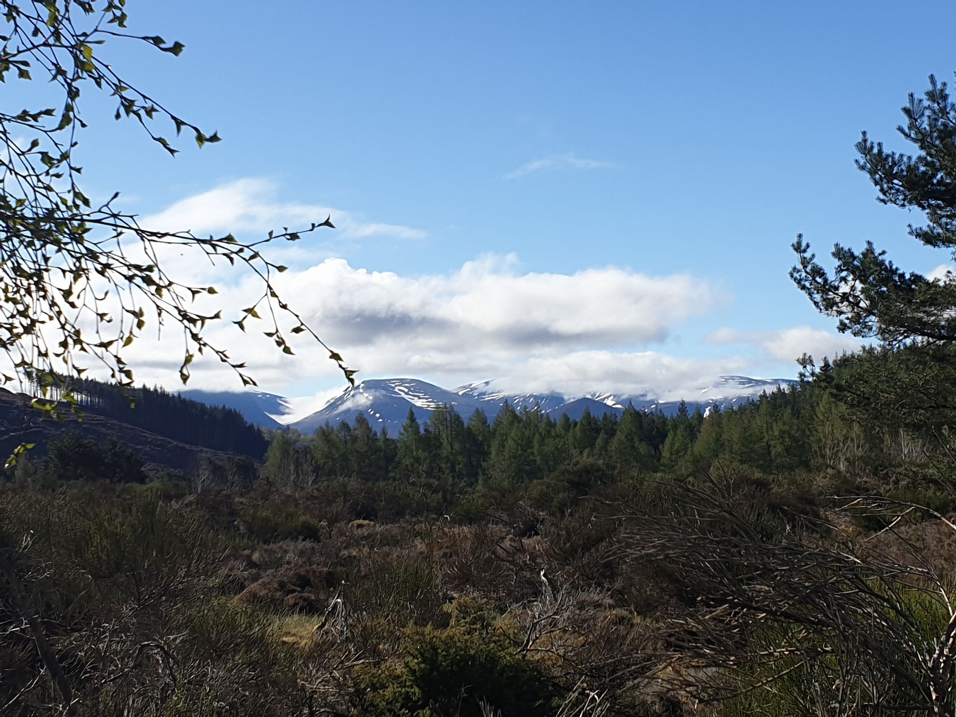 cairngorms snow hills
