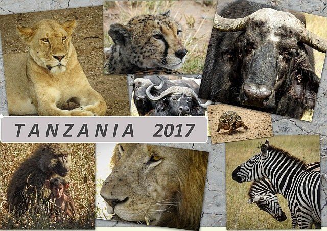 Tansania Reise 2017 Tansania Reise 2017
