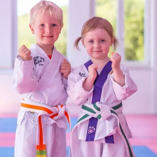Die Mitglieder der Mini-Tigers-Karate-Gruppe der SANKAN Kampfkunstschule sind zwischen 3 - 4 Jahre alt. SANKAN Karate Mini-Tigers (3 - 4 Jahre alt)